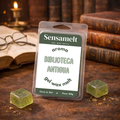 Alte Bibliothek - Gel Wax Melt