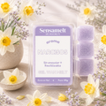 Narzissen – Gel Wax Melt