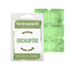 Eukalyptus - Gel Wax Melt